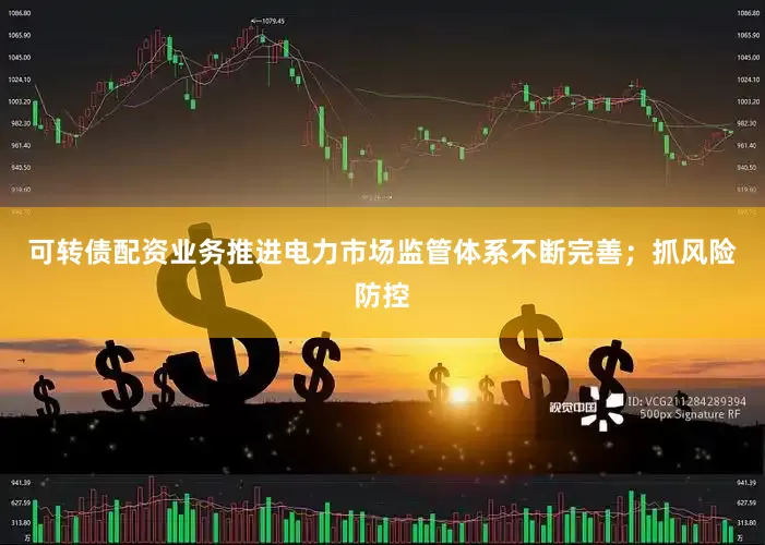 可转债配资业务推进电力市场监管体系不断完善；抓风险防控